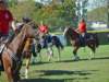 lynbrook049_edited1_small.jpg