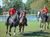 lynbrook050_edited1_small.jpg