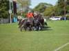 lynbrook052_edited1_small.jpg