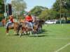 lynbrook055_edited1_small.jpg