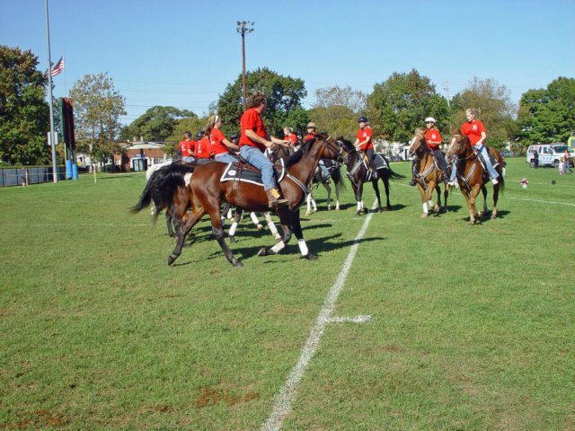 lynbrook059_edited1.jpg