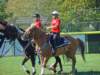 lynbrook073_edited1_small.jpg