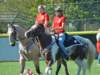 lynbrook077_edited1_small.jpg