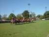 lynbrook080_edited1_small.jpg