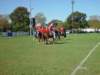 lynbrook084_edited1_small.jpg