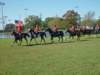 lynbrook091_edited1_small.jpg
