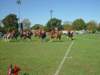 lynbrook100_edited1_small.jpg