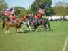 lynbrook105_edited1_small.jpg