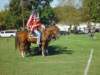 lynbrook106_edited1_small.jpg