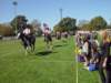lynbrook116_edited1_small.jpg