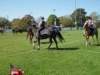 lynbrook117_edited1_small.jpg