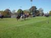 lynbrook120_edited1_small.jpg