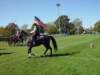 lynbrook123_edited1_small.jpg