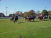lynbrook124_edited1_small.jpg