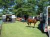dsc04823_small.jpg