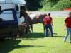 dsc04828_small.jpg