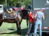 dsc04832_small.jpg