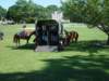 dsc04833_small.jpg