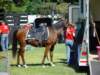 dsc04837_small.jpg