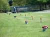 dsc04840_small.jpg