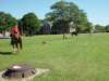 dsc04841_small.jpg