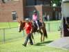 dsc04874_small.jpg
