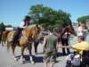 dsc04882_small.jpg