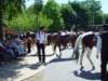 dsc04897_small.jpg