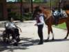 dsc04900_small.jpg