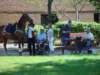 dsc04907_small.jpg