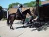 dsc04908_small.jpg
