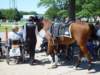 dsc04910_small.jpg