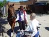 dsc04911_small.jpg
