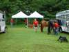 dsc04471_small.jpg
