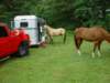 dsc04472_small.jpg