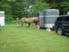dsc04474_small.jpg
