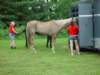 dsc04475_small.jpg
