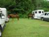 dsc04478_small.jpg