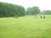 dsc04487_small.jpg