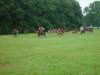 dsc04491_small.jpg