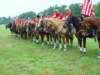 dsc04514_small.jpg
