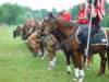 dsc04524_small.jpg