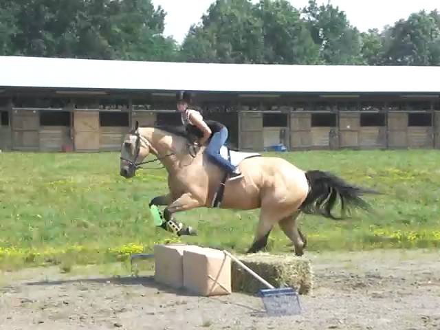 jumping.jpg
