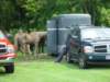 dsc04548_small.jpg