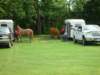 dsc04551_small.jpg
