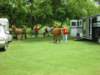 dsc04553_small.jpg