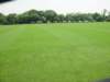 dsc04556_small.jpg