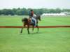 dsc04563_small.jpg