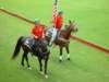 dsc04565_small.jpg