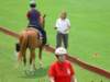 dsc04567_small.jpg